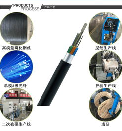 12芯重铠直埋光缆厂家 gyta53 gyfta53 8芯 24芯光缆厂家48芯